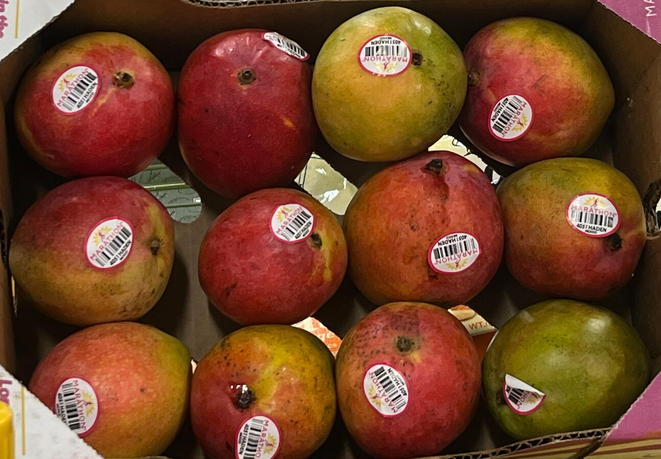 Marathon Mangoes $ 17.99 per box